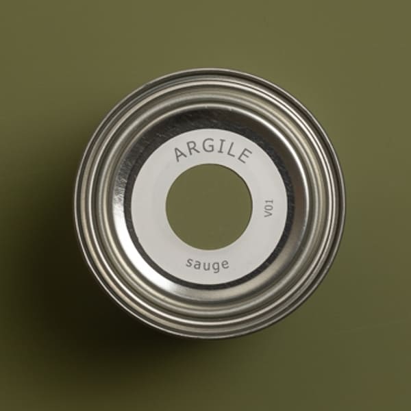 argile_peinture-tmvv01-teinte-sauge-600_600