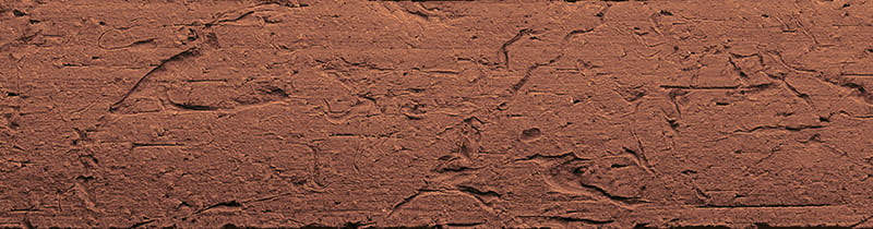 TCN_ECORCE_104_Medoc