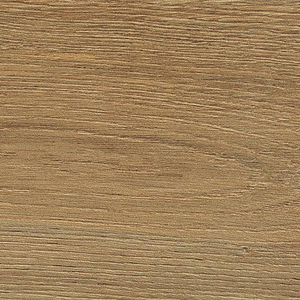 fap_roots_2021_gold_R9_20X120_fPVY_02_hr-thumbnail-600x600-70