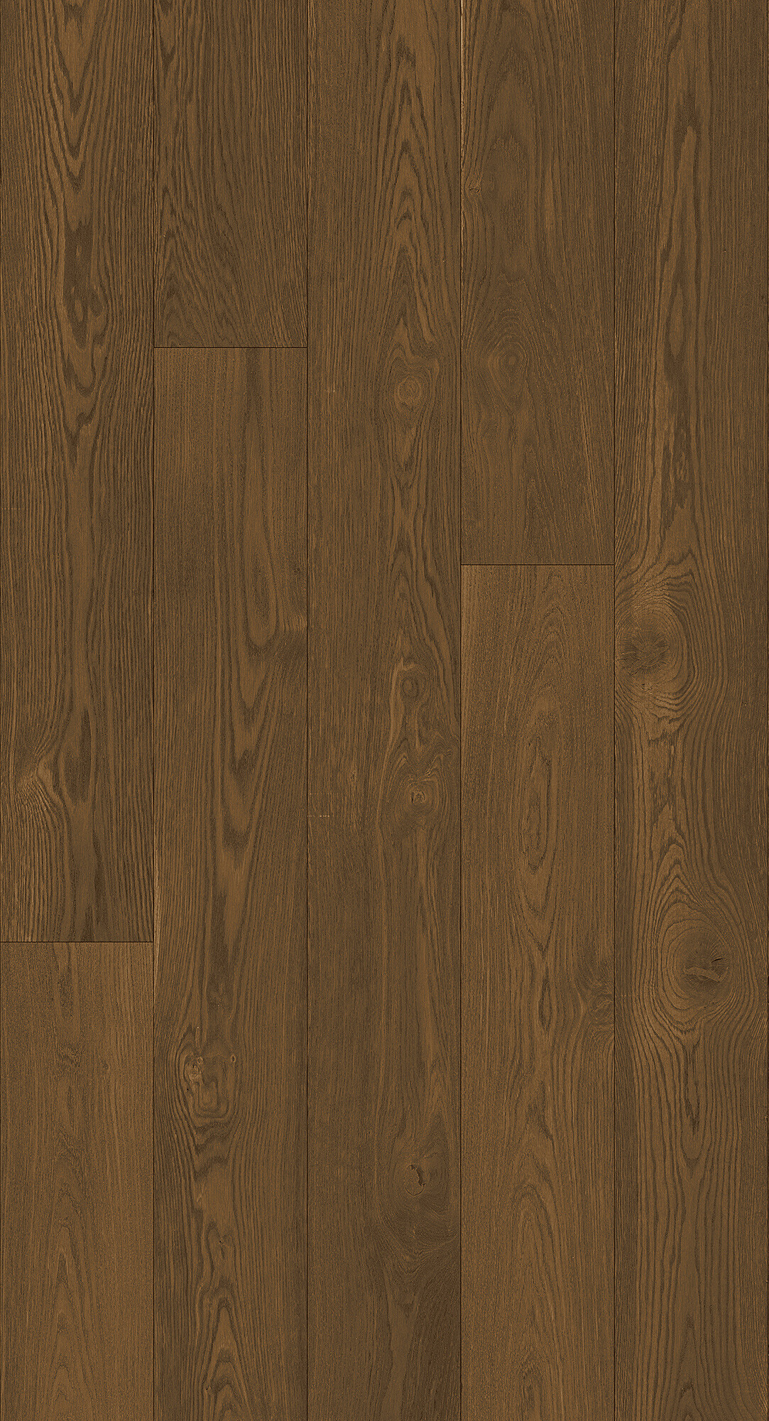 cabbani-cda-ensor-hr_1742814367