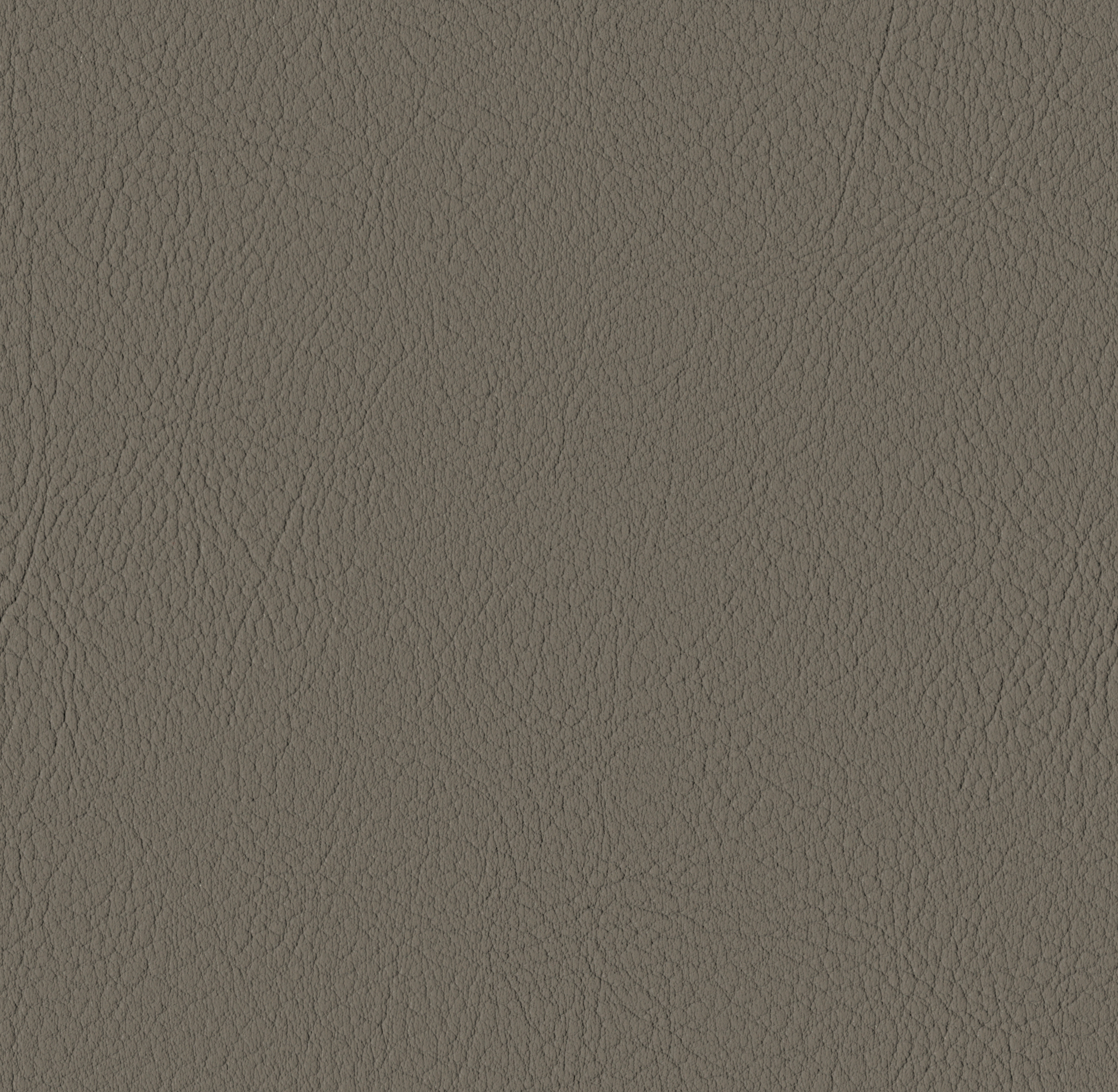 Tileable image - Moss