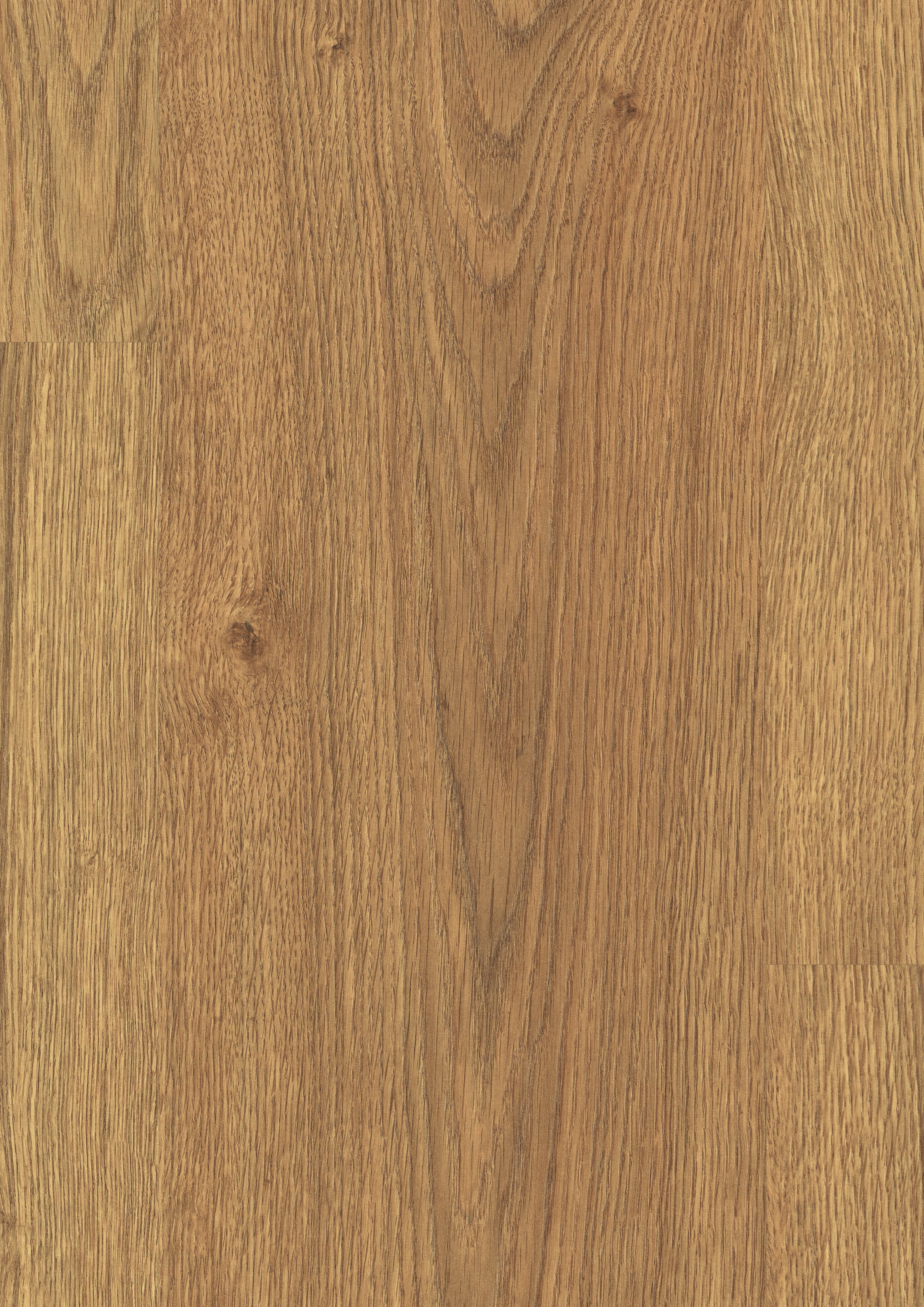 EL2863_STF1_classic_detail_10DE_flo