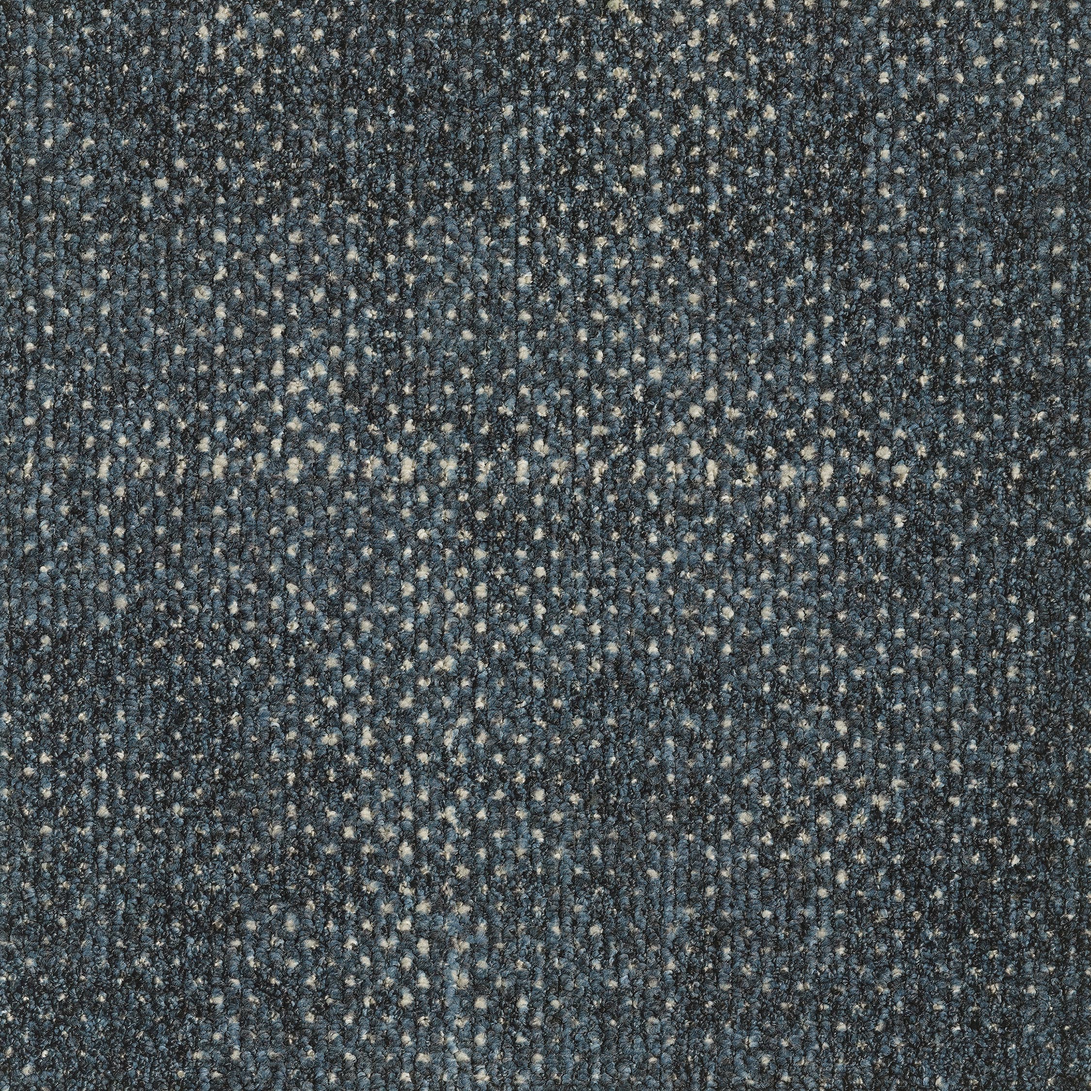 0865026 - Seed Dark Blue 5595