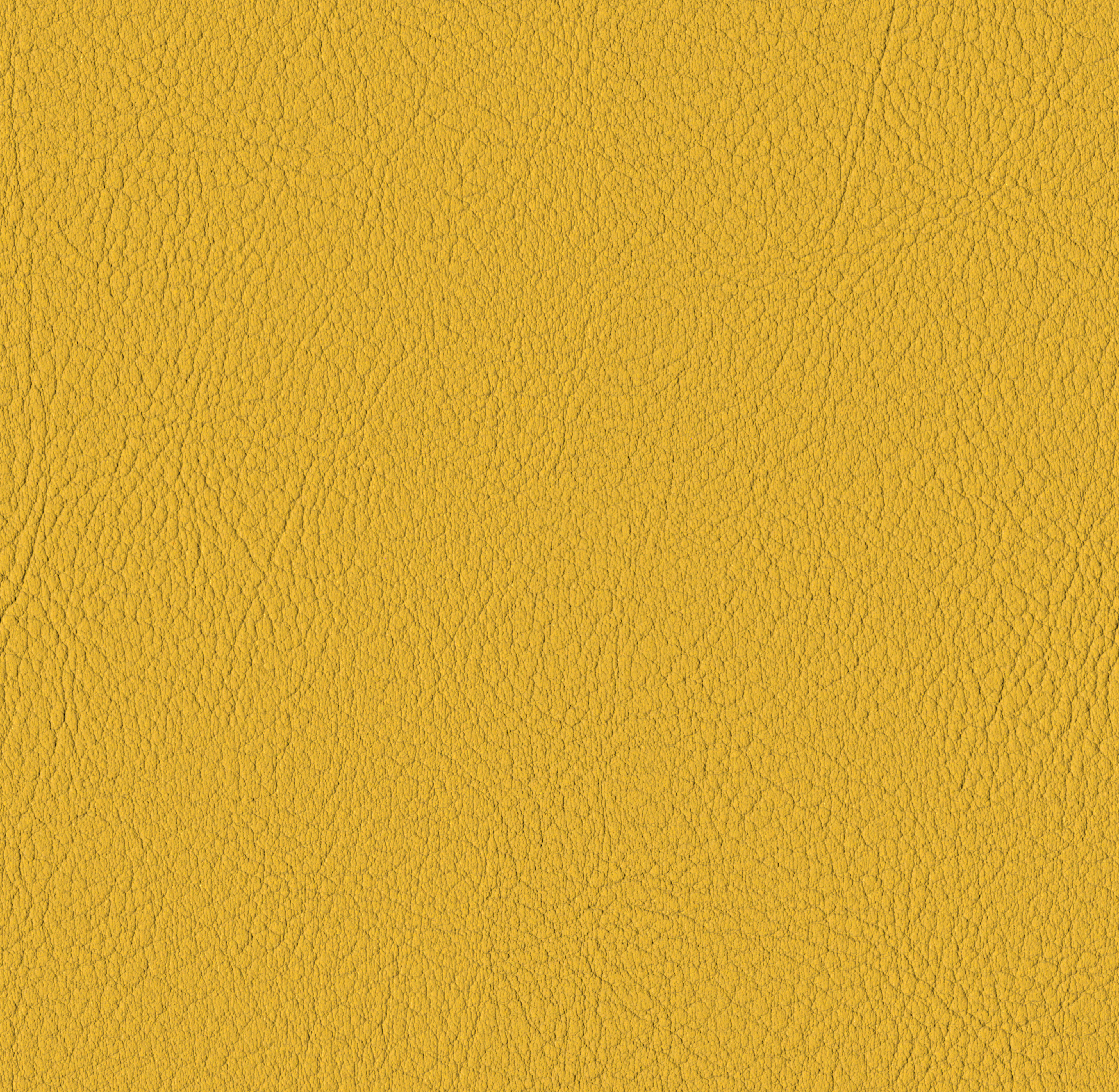 Tileable image - Squash