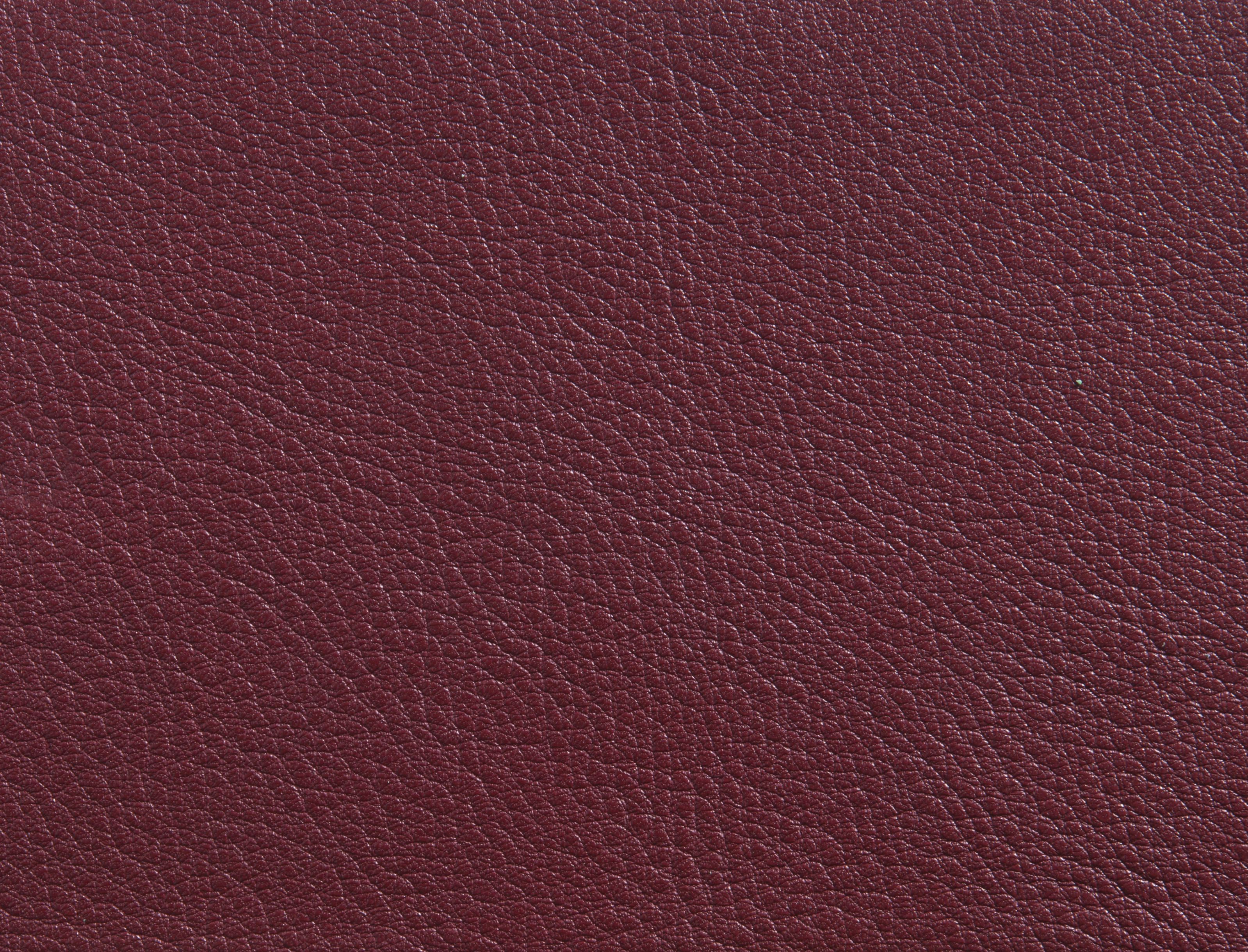 ElmorusticalVIII_95024