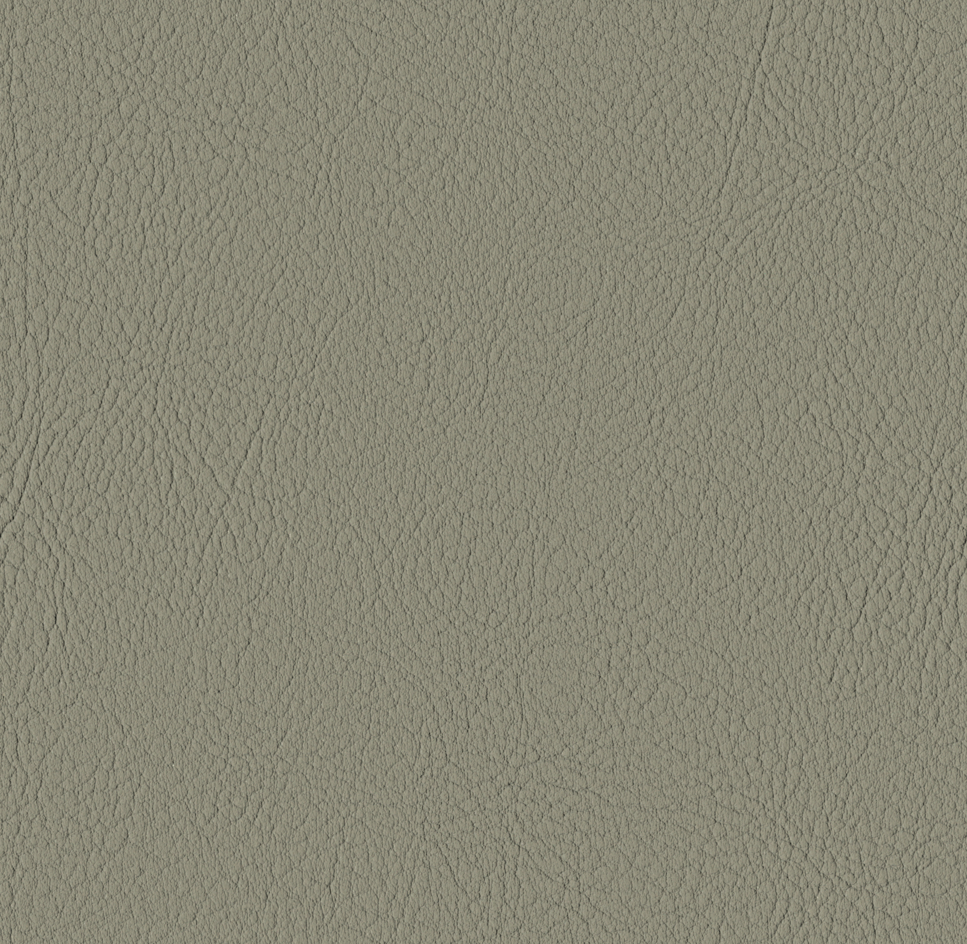 Tileable image - Laurel