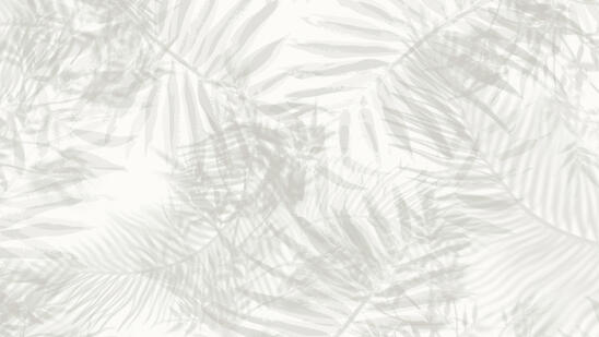 Palm SHADOW