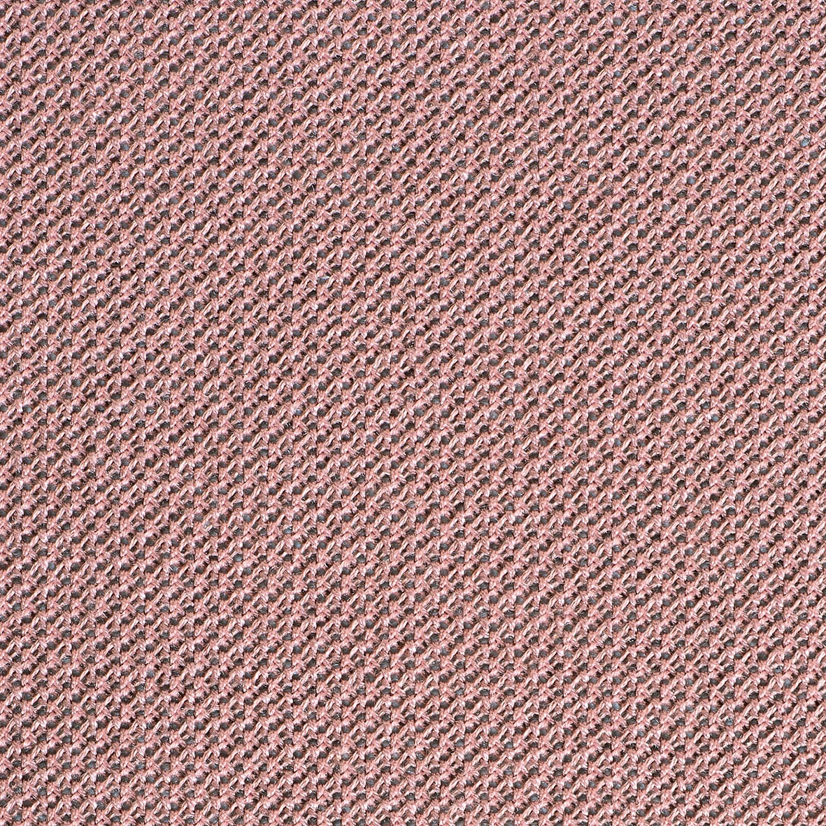 APLAT-01-MR330P-VIEUXROSE