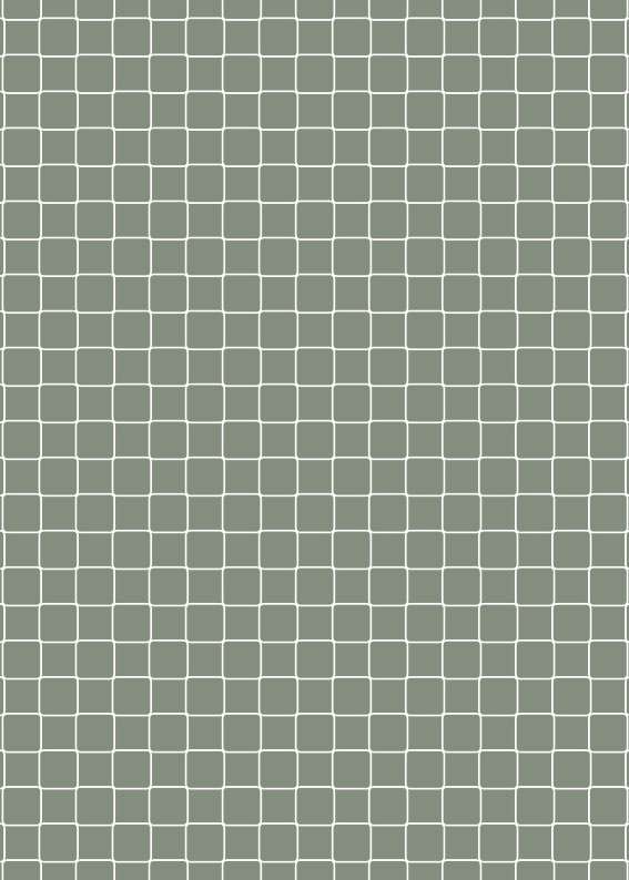 6317 net agavematteo ragni