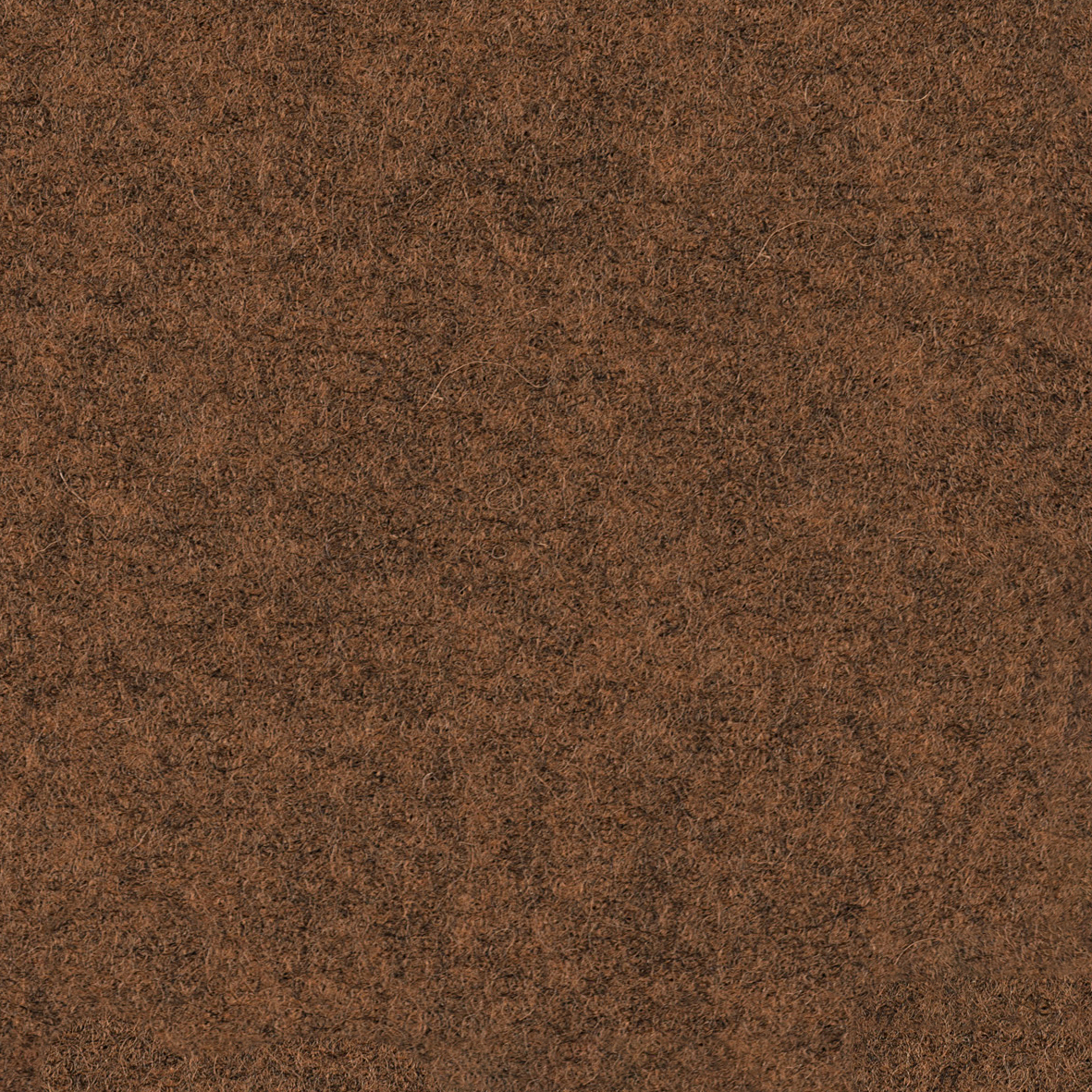 focus_melange_screen_61436