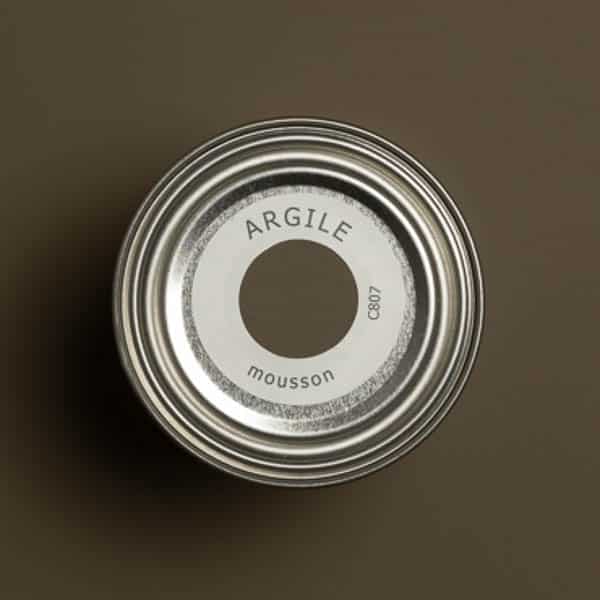 argile_peinture-tc807-teinte-mousson-600_600