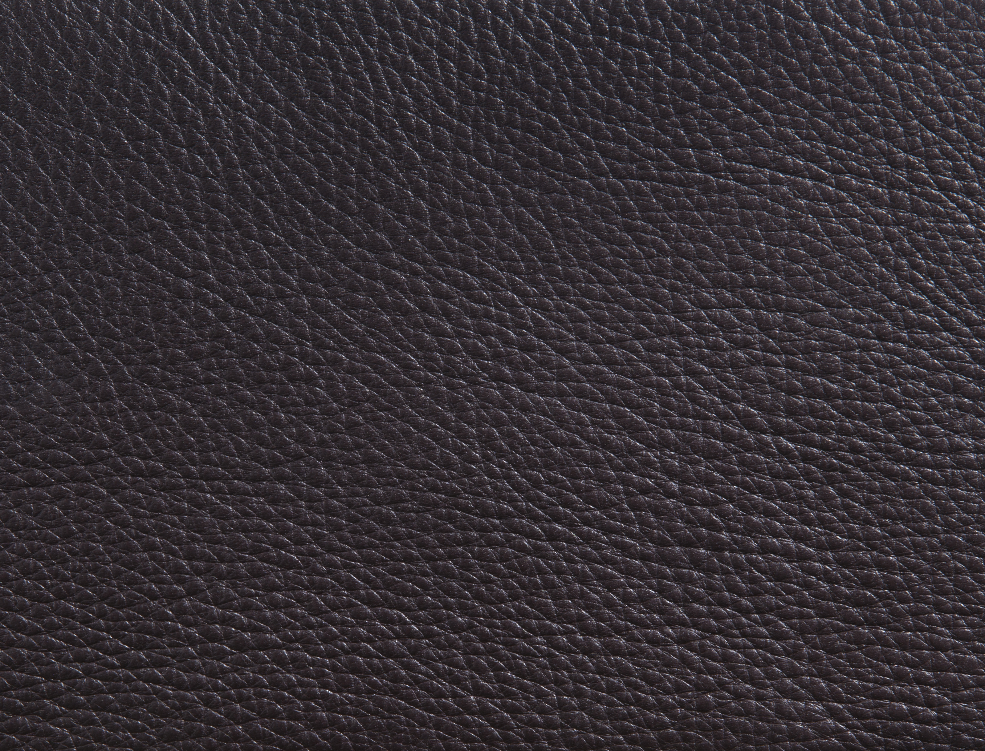 ElmorusticalVIII_93327