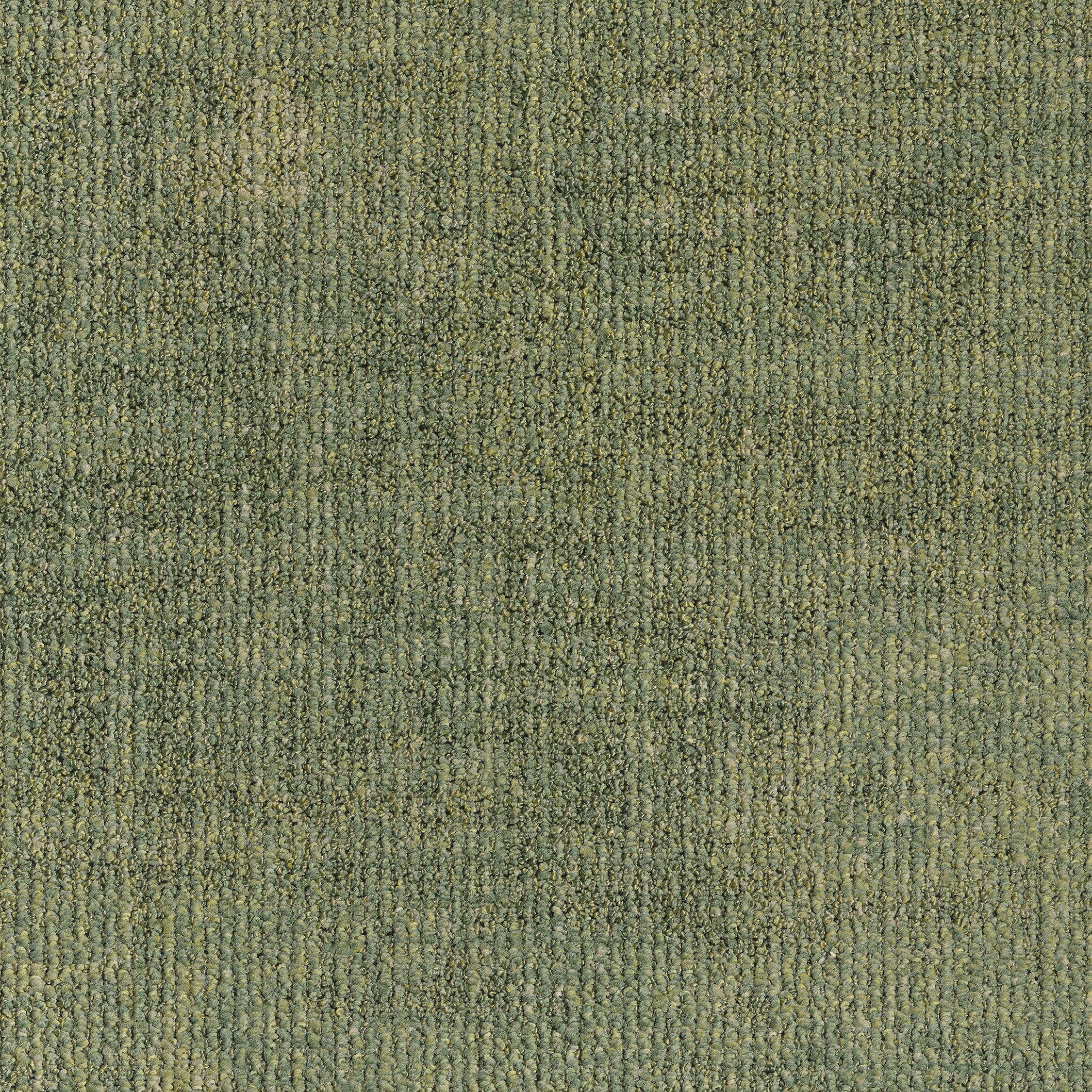 0865053 - Leaf Light Green 5500