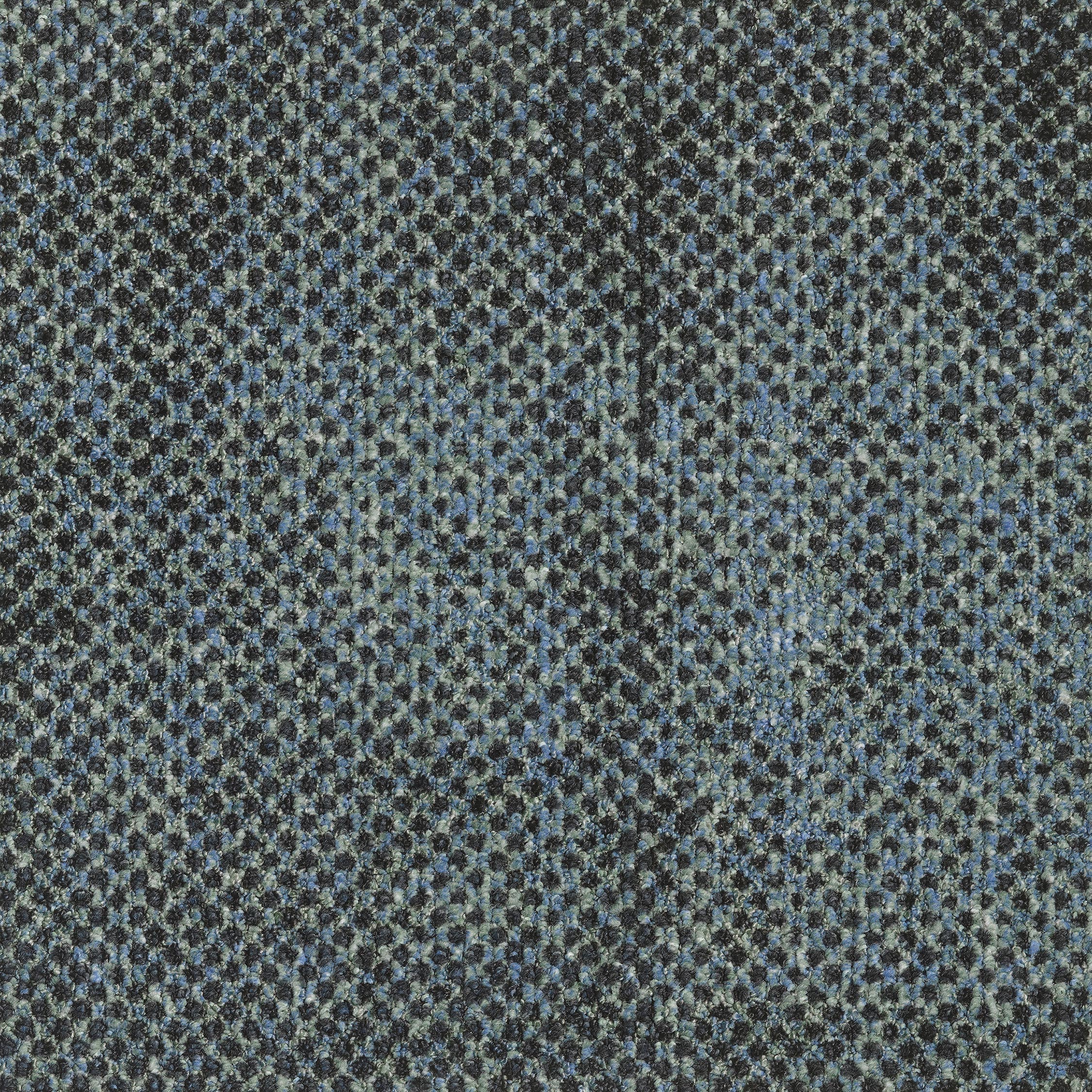 0865016 - Seed Petrol 5520