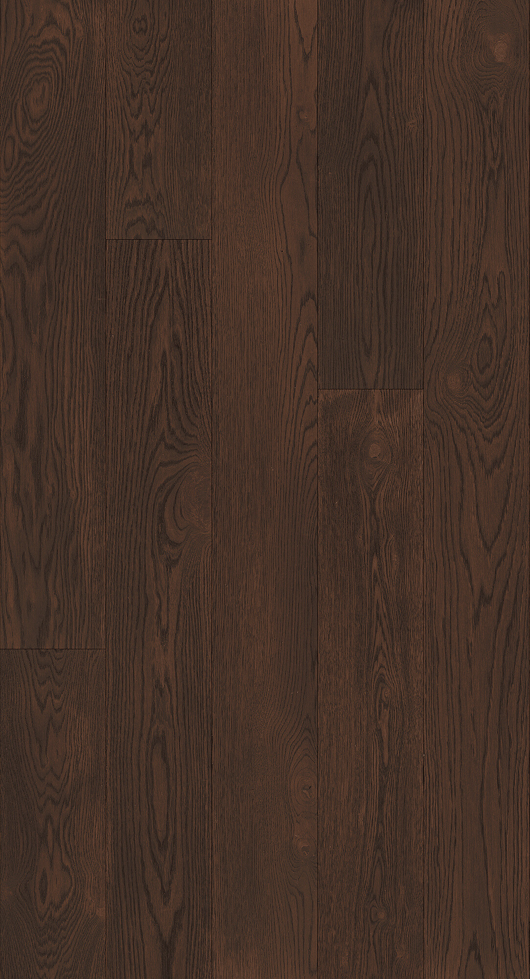 cabbani-cda-khalo-hr_1742814364