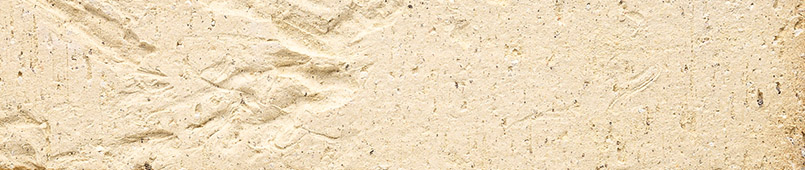 REMARQUABLE_TC-Chenin