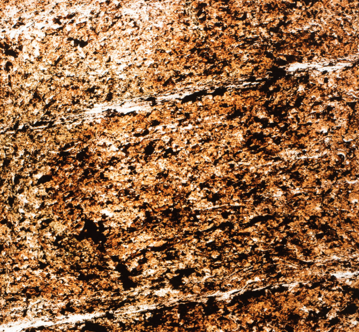 MARBRE-SAINT TROPEZ TRANS.