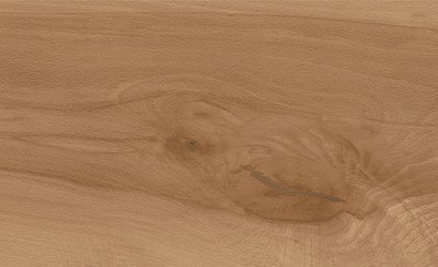 AtlasConcorde_LogCansei_Fenice_Macro