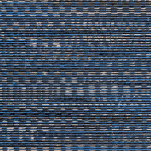 Osmanthus_Geloma_54563_Packshot_Web_LR-thumb-square