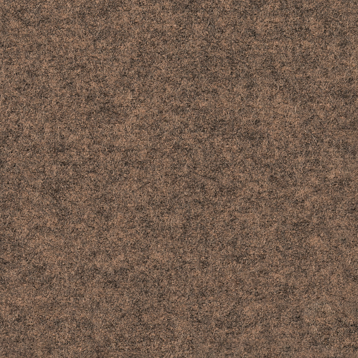 focus_melange_screen_61435