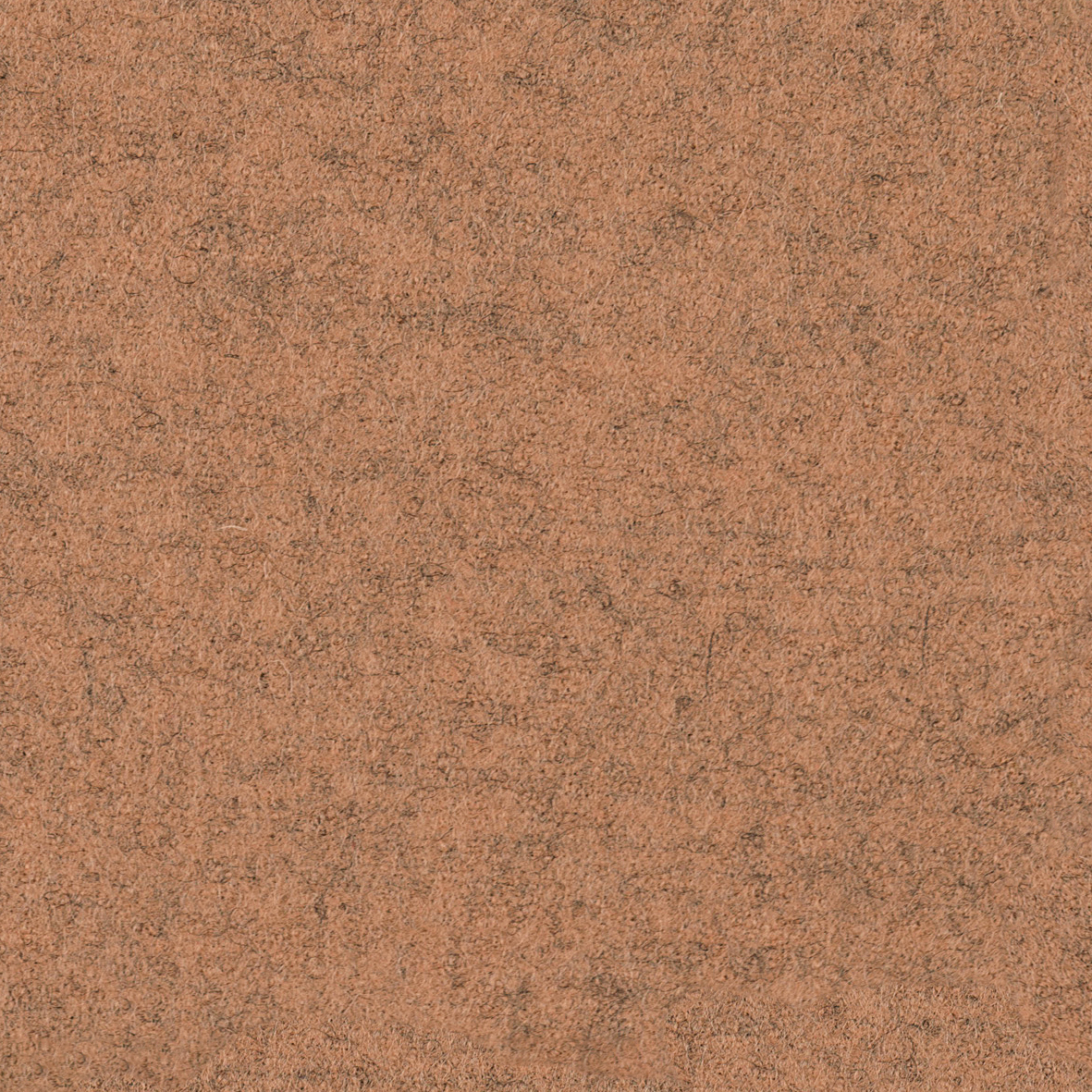 focus_melange_screen_61461