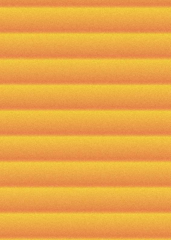 6309 fetch sunsetmatteo ragni