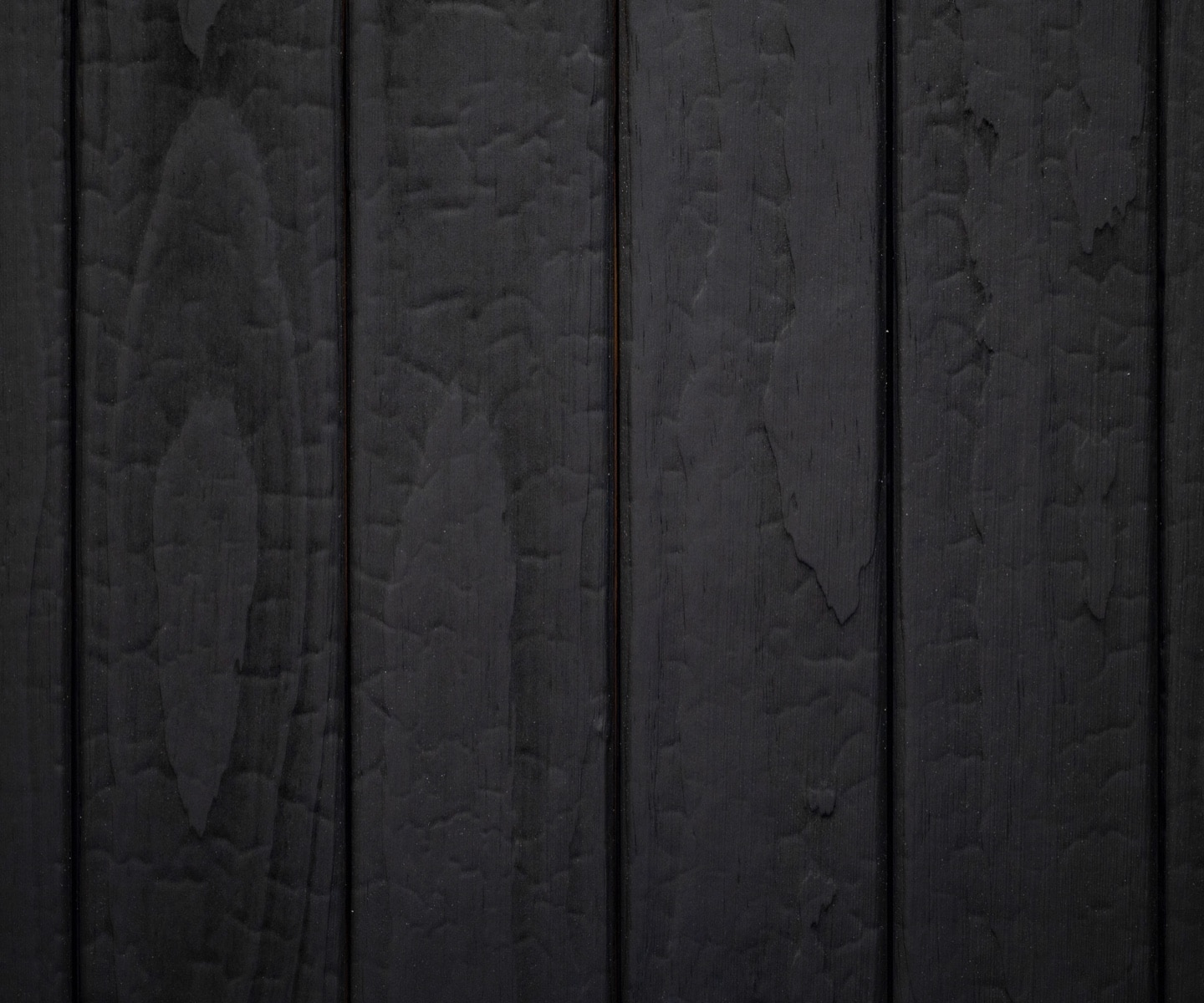 bois-brule-pin-radiata-noirdelune-2