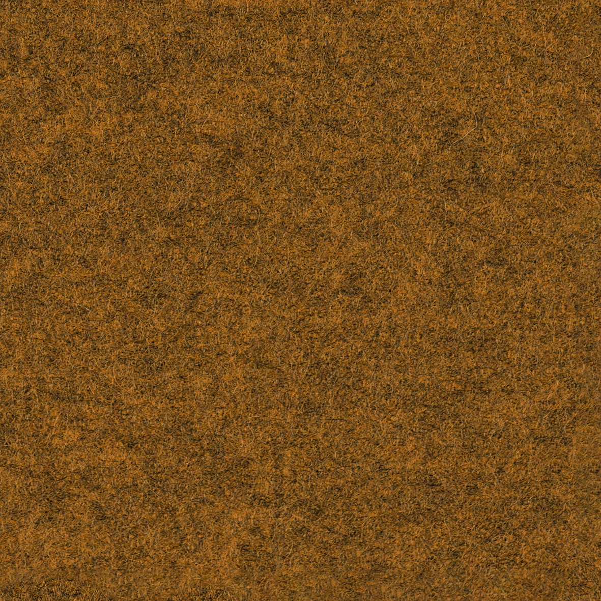 focus_melange_screen_62418