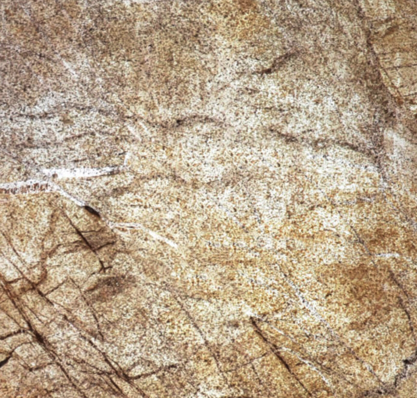 MARBRE-PRETORIA TRANS.