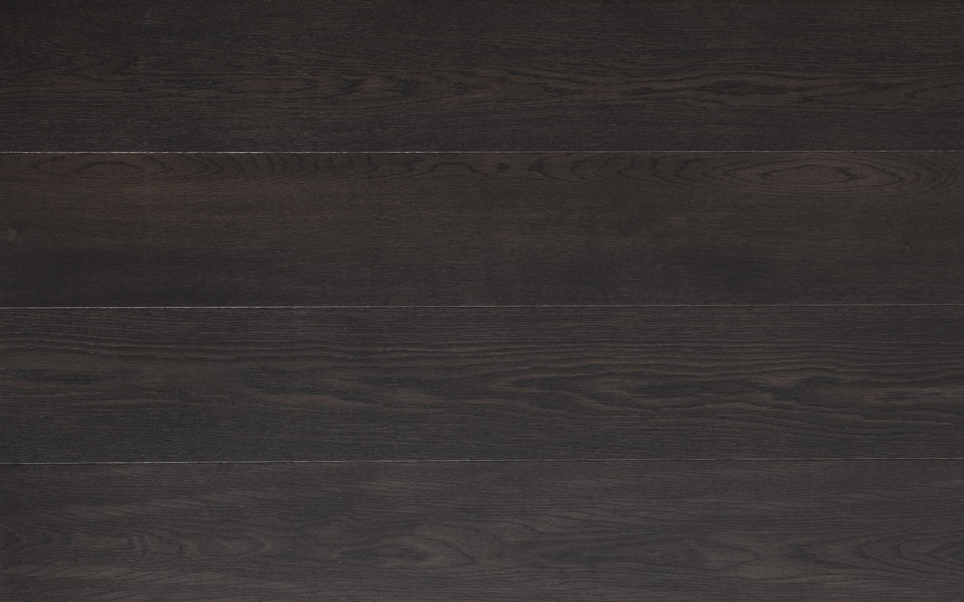 Michelangelo_rovere_testa_di_moro_classica_1920x1200