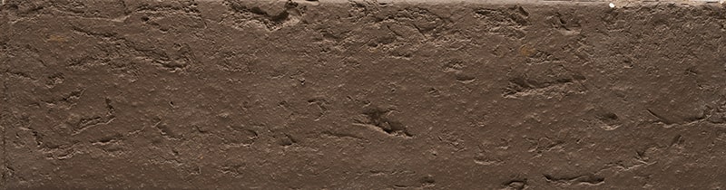 TCN_COLISEE_108-Reglisse