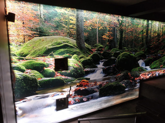 8d372302-533a-4663-9687-d526dd53a01d