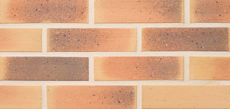 TCN_FLAMMEE_206-Sirius