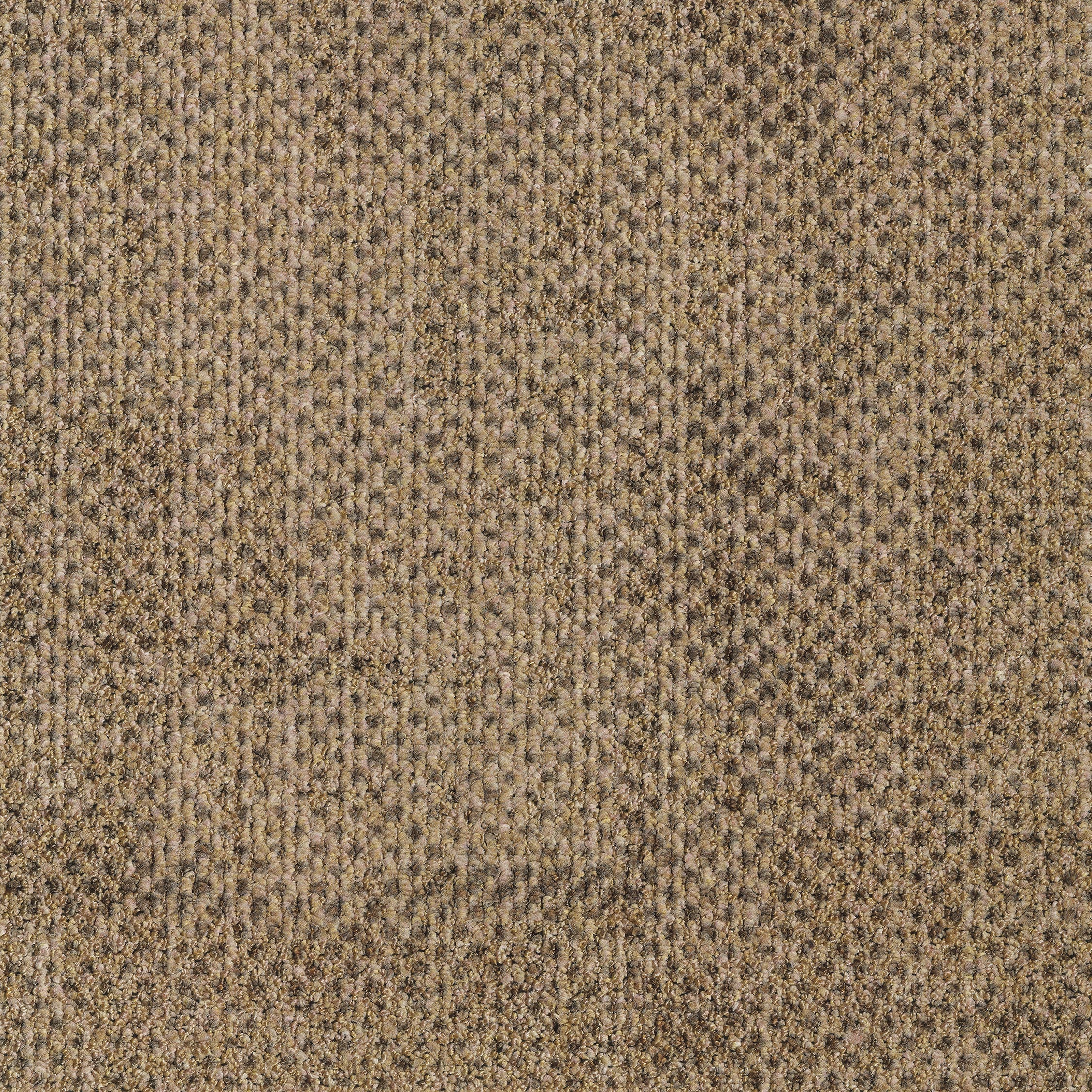 0865035 - Seed Camel 5500