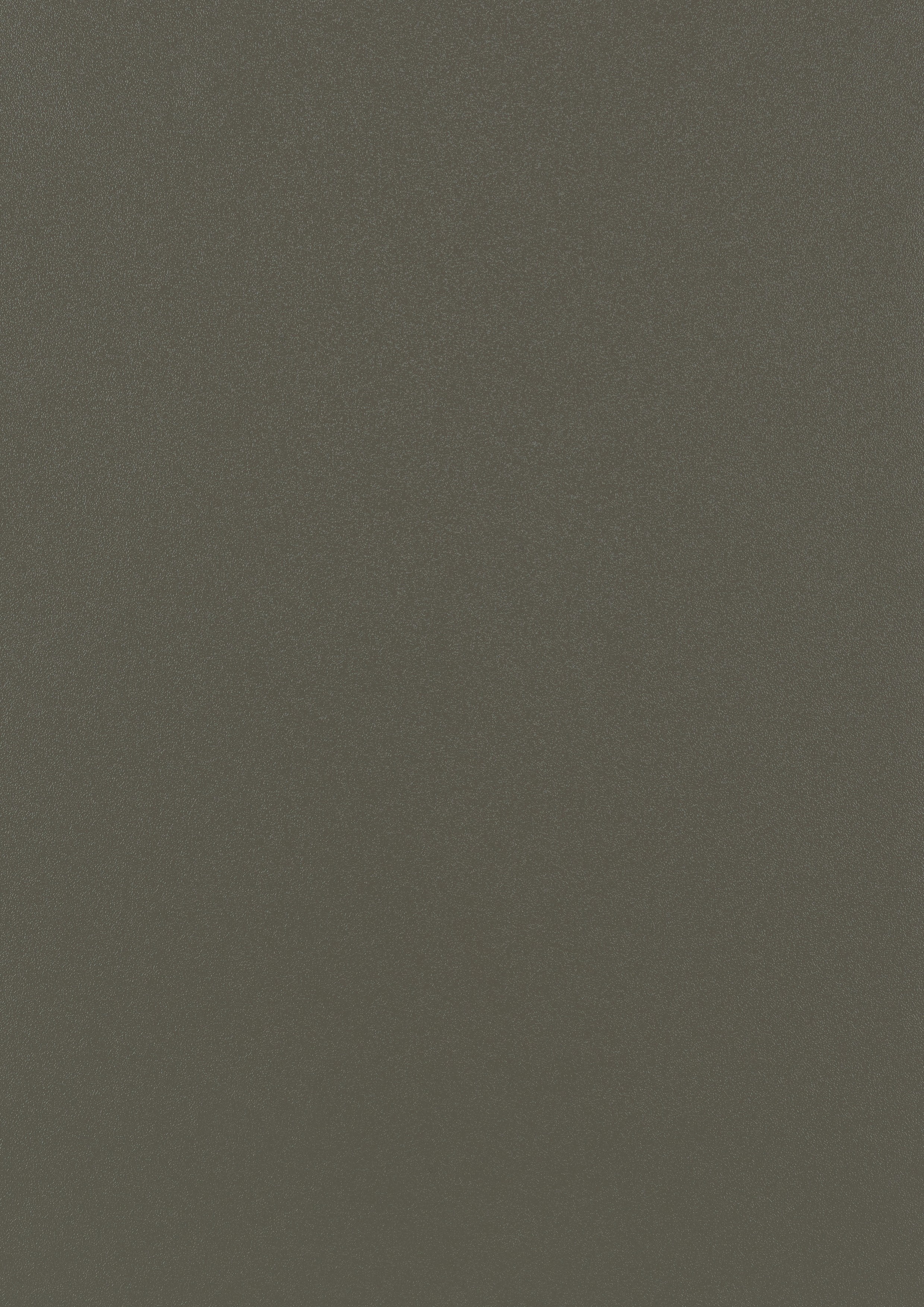 Gris Quartz RAL 7022 (Lisse)