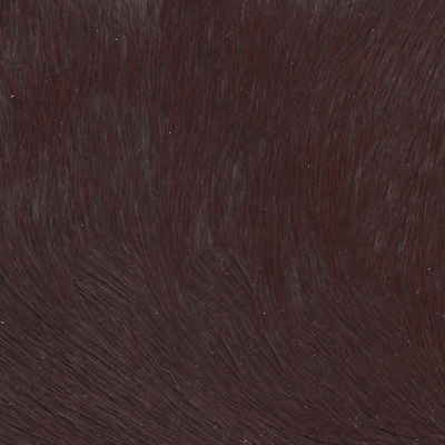 chantilly-chataigne-s