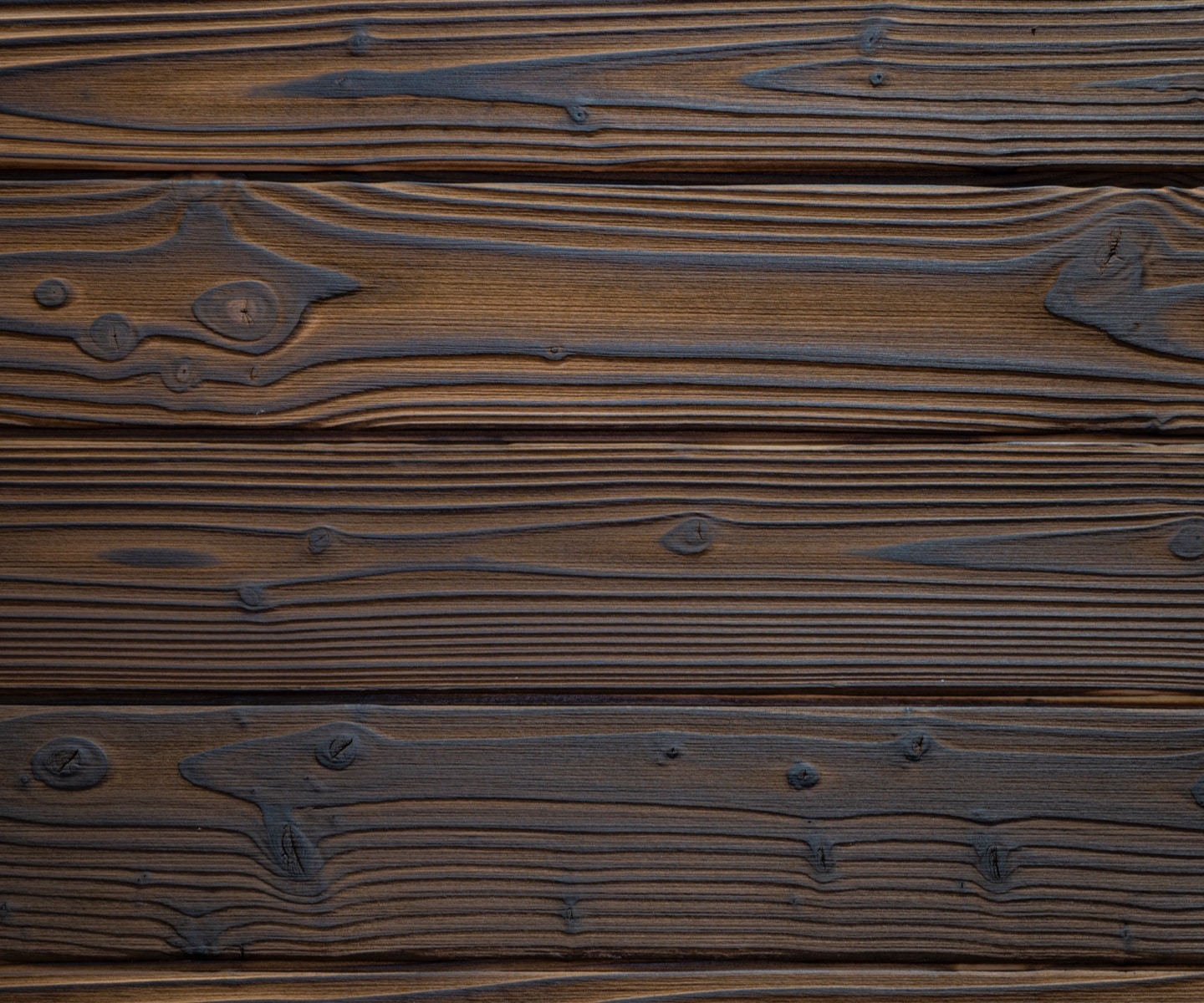 bois-brule-douglas-noirdebrun-4