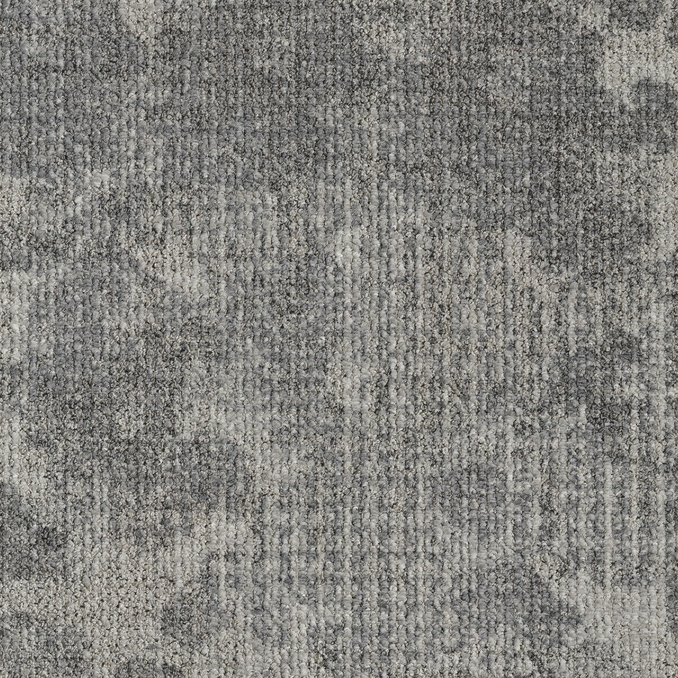 0865051 - Leaf Grey 5500