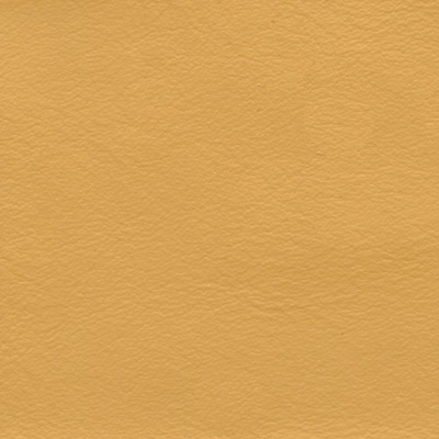 vaugirard-tournesol-s