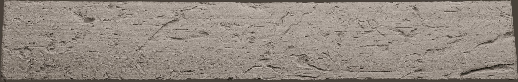 2025_RM_Caractere_Silver-0-2048x326