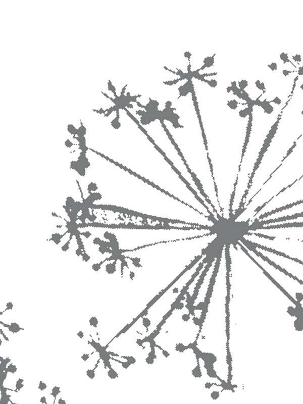 2835 neigepaola navone