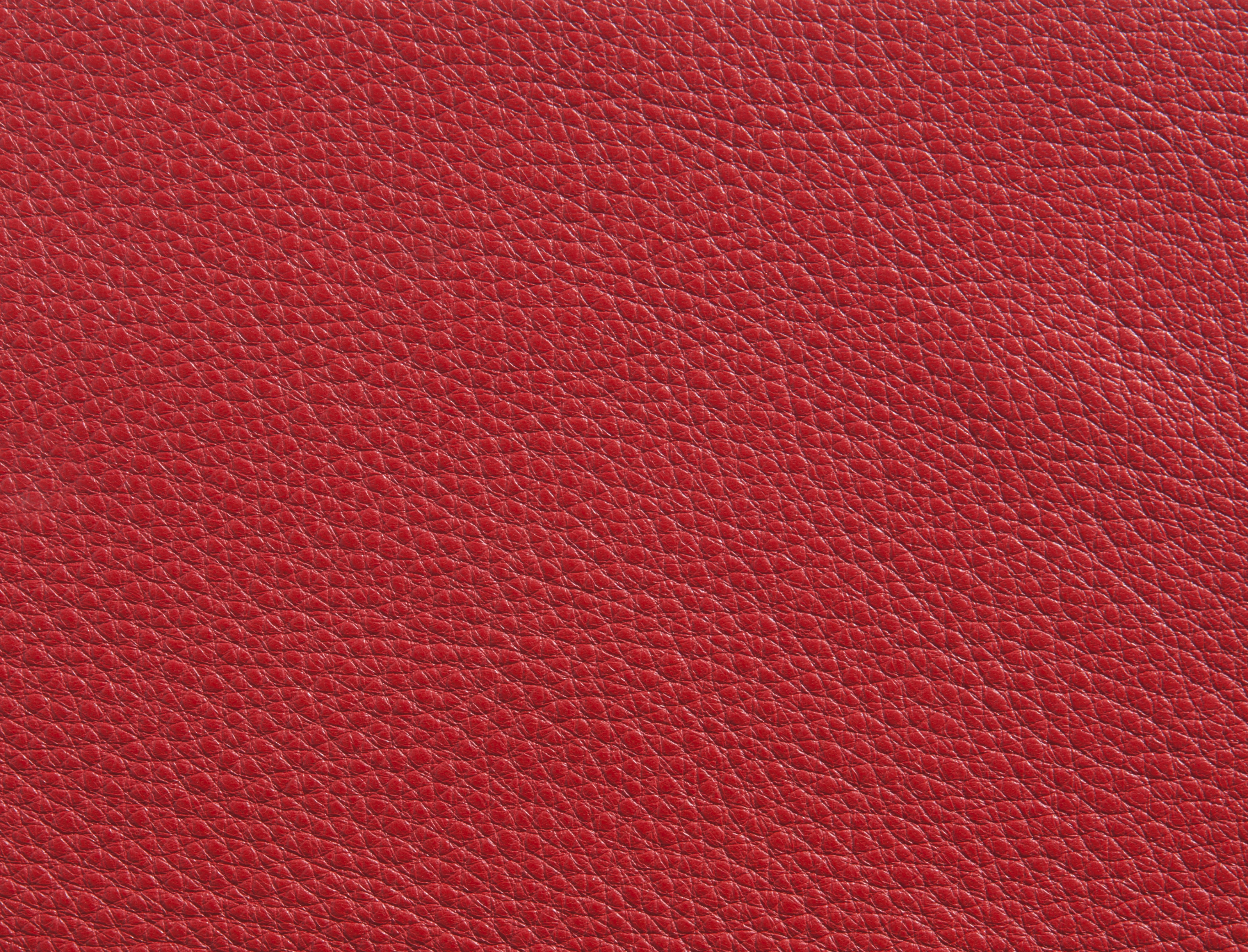 ElmorusticalVIII_55063