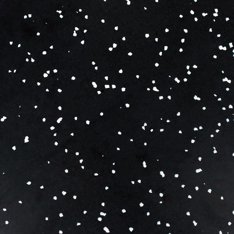 reverse-timeless-duo-plastique-recycle