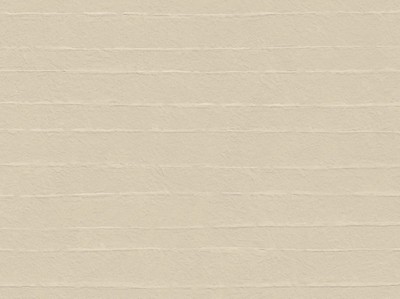 AtlasConcorde_BoostNaturalPro_Macro_Oat3DRice_Wall