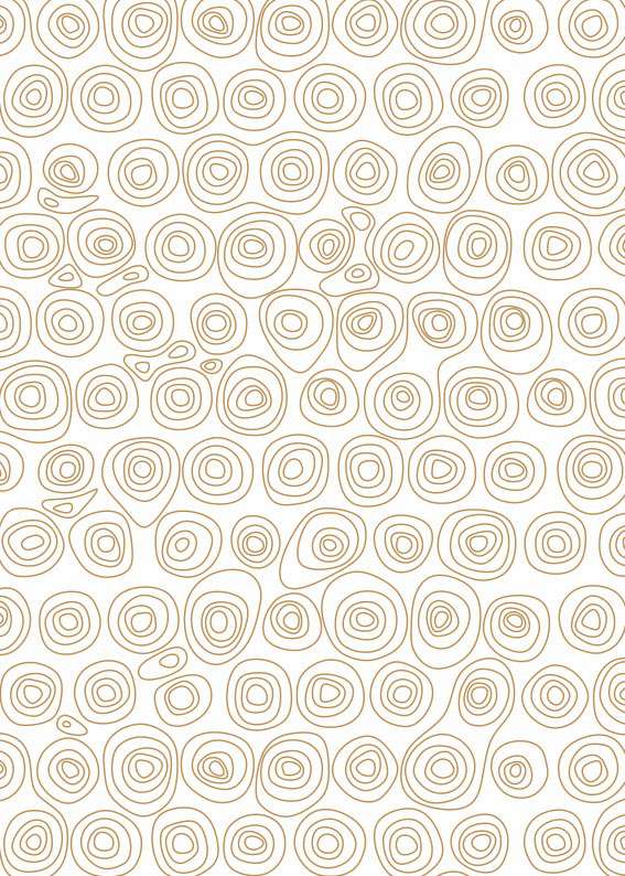 6313 islands sandmatteo ragni