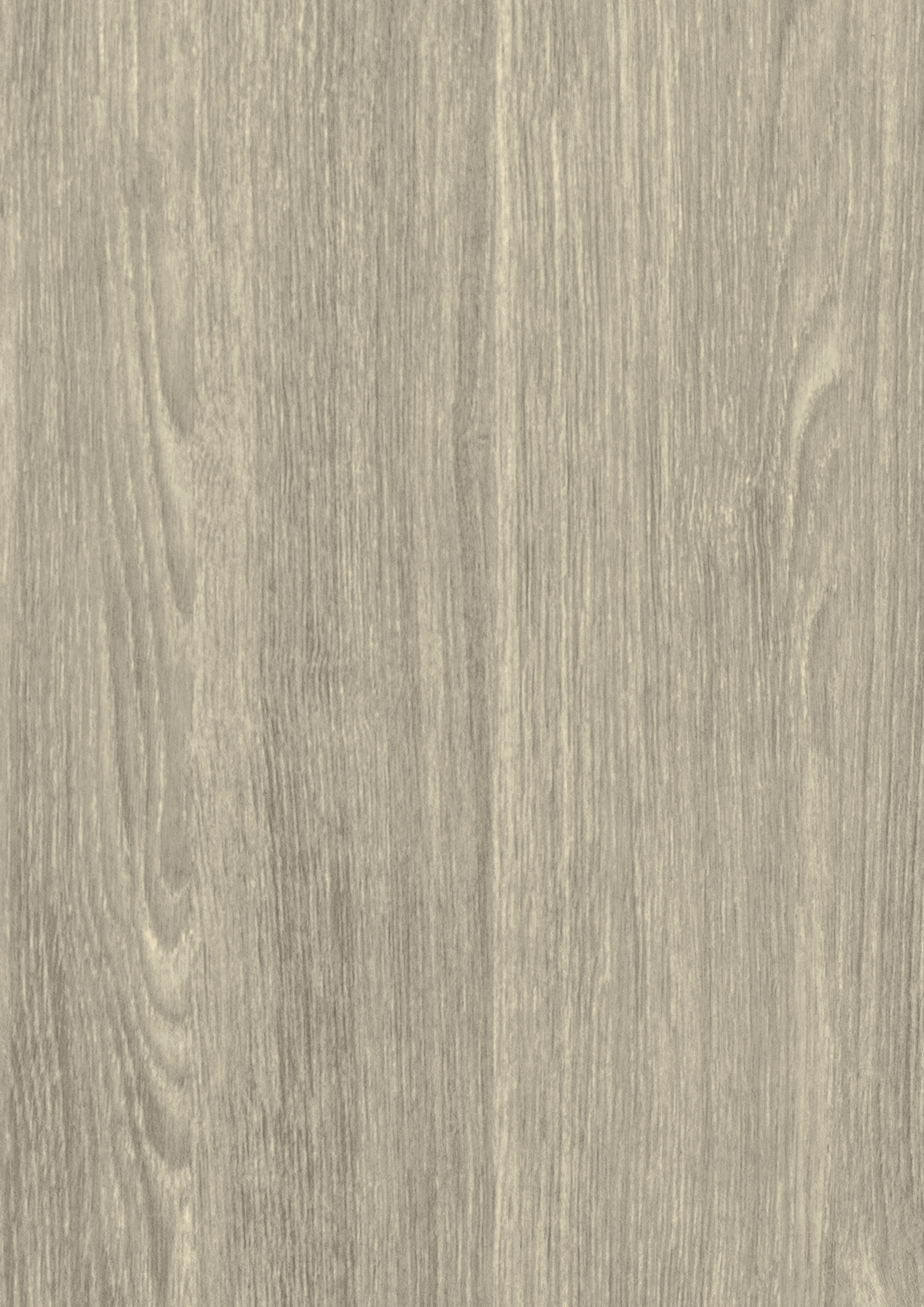 Sheffield Oak Light (Bois naturel)