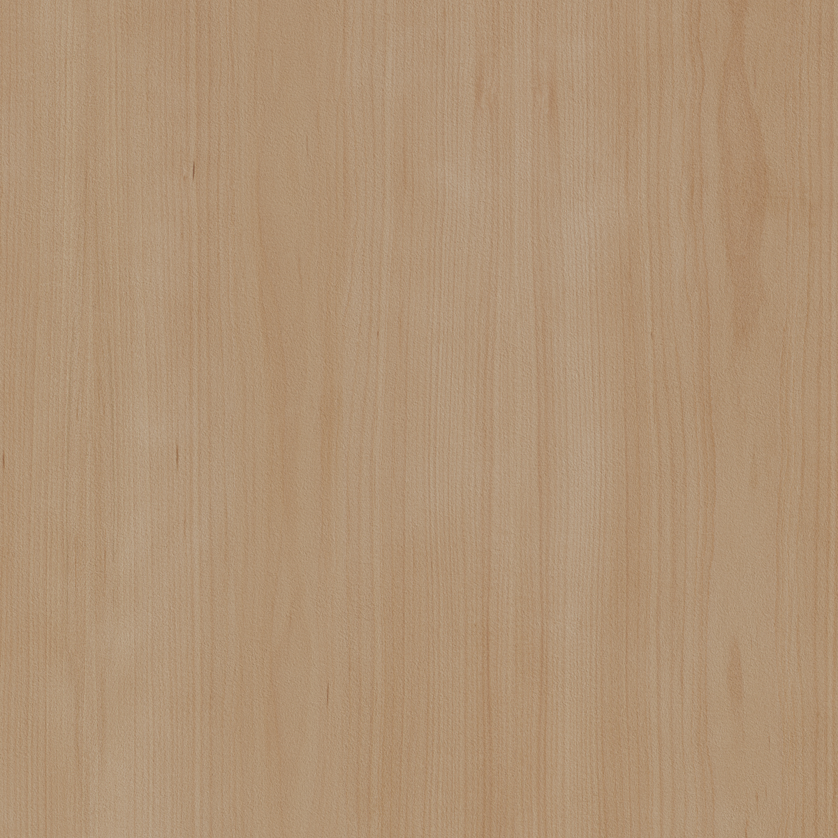Zintra-Swatches-Euro-Beech