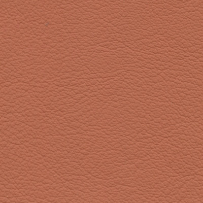 vaugirard-terrecuite-s