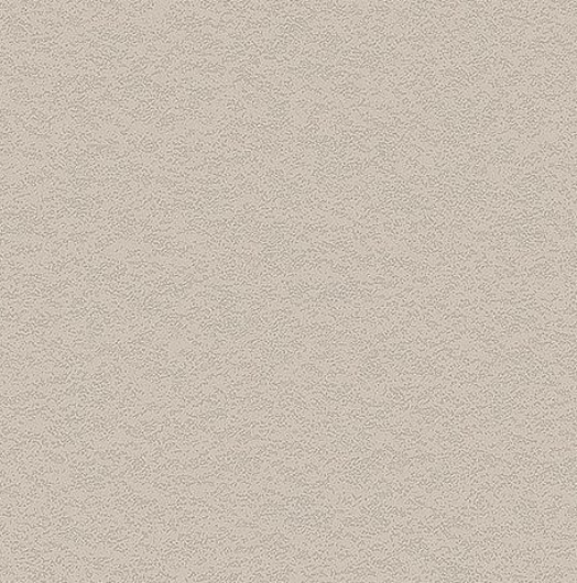 NH50 Cashmere Stucco