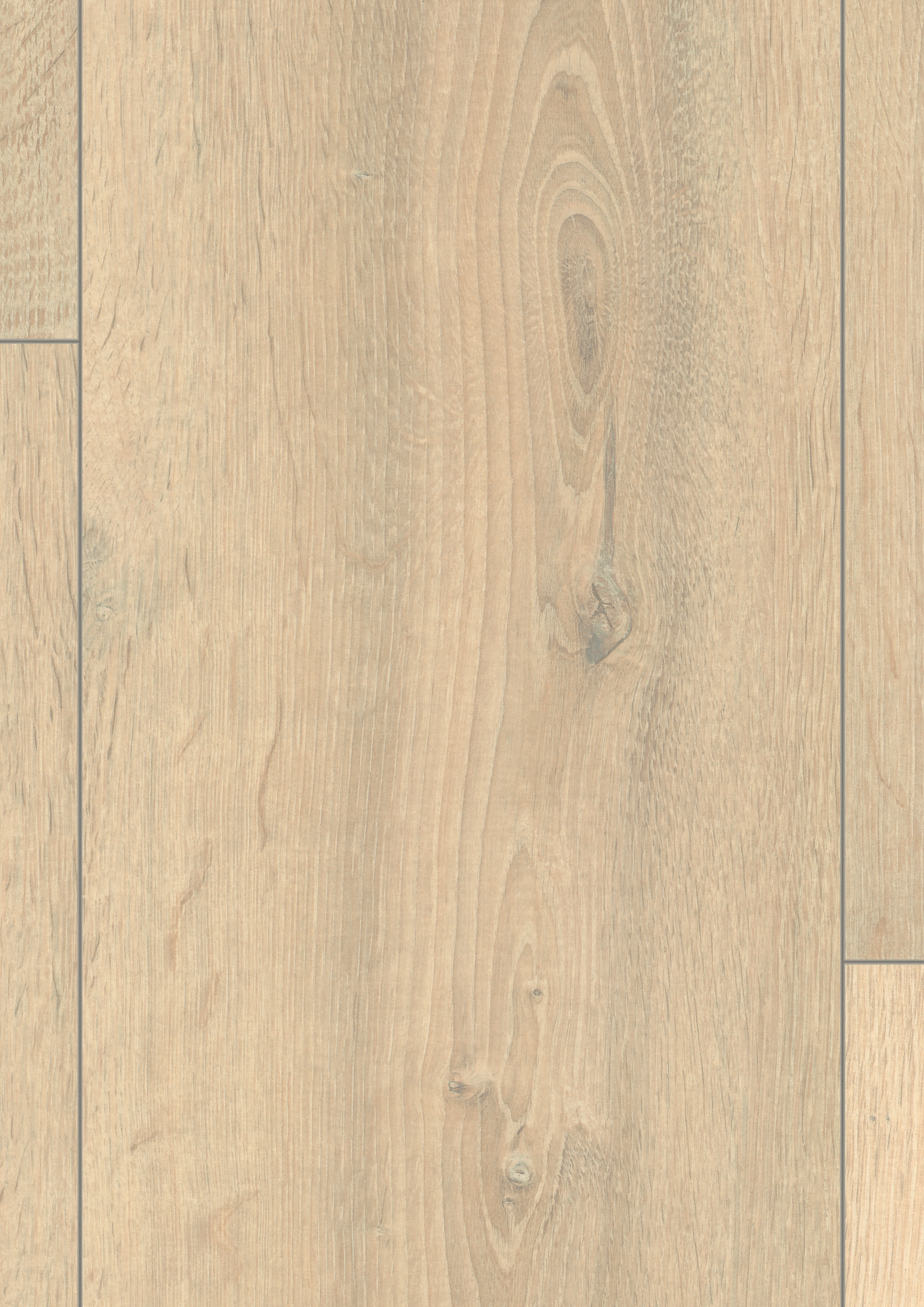 EL2988_STF4_long_wv4_detail_10DE_flo